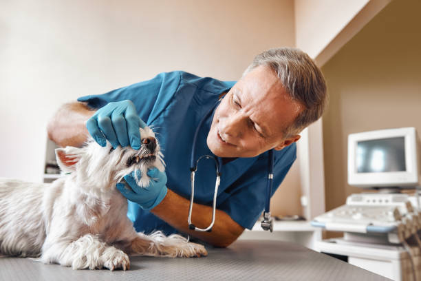 Best Emergency Denture Repair in Hawthorne, NY